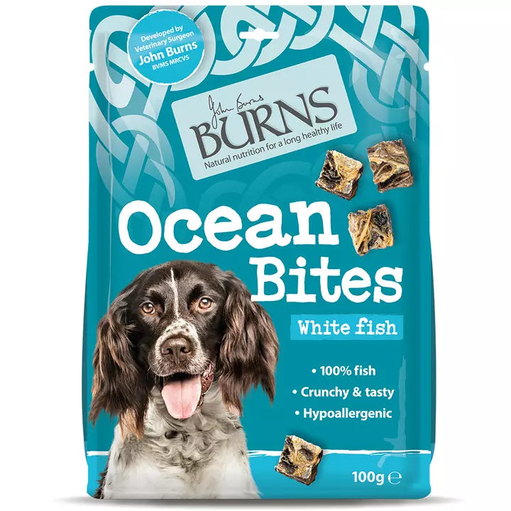 Burns Ocean Bites Dog Treats 100 gm