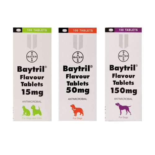 Baytril Flavoured Anti-Biotic Tablets - Pet Health Direct