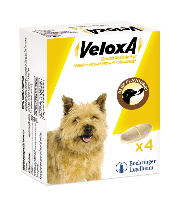 Veloxa worming hot sale tablets