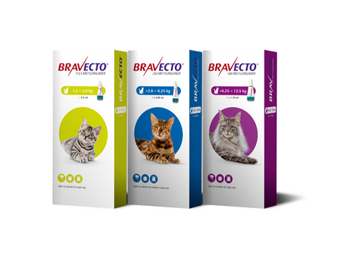 Bravecto Spot On for Cats - Pet Health Direct