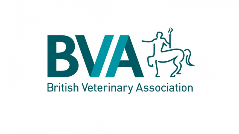 BVA News: Be a good egg and hide Easter chocs from your pets, vets warn