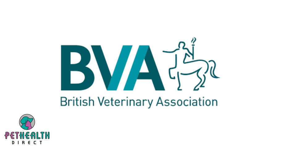 BVA & BSAVA call on Government to license unregulated canine breeding services to help clamp down on irresponsible dog breeding
