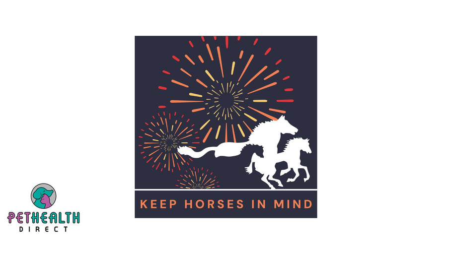 Redwings launches new fireworks campaign and asks people to contact their MP ahead of awareness-raising event at Westminster