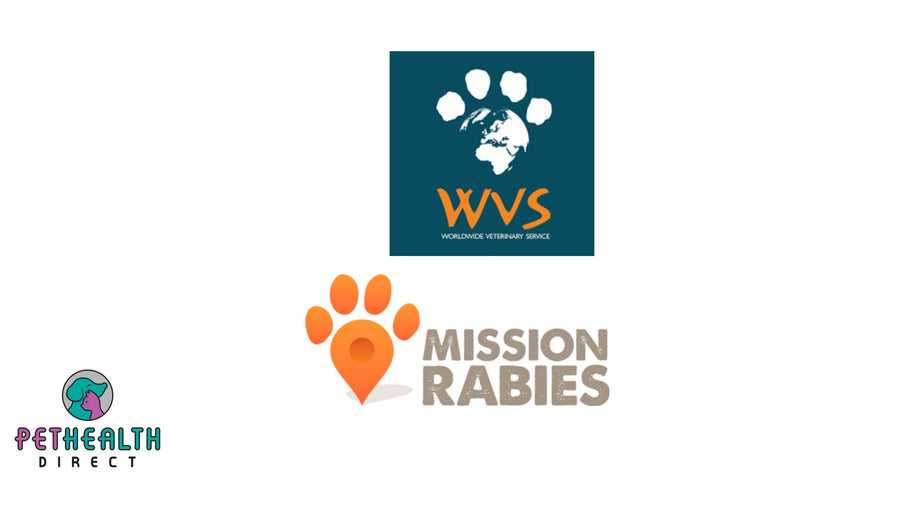 229,488 dogs vaccinated against rabies in Cambodia: UKveterinary charity delivers Asia’s largest rabies drive