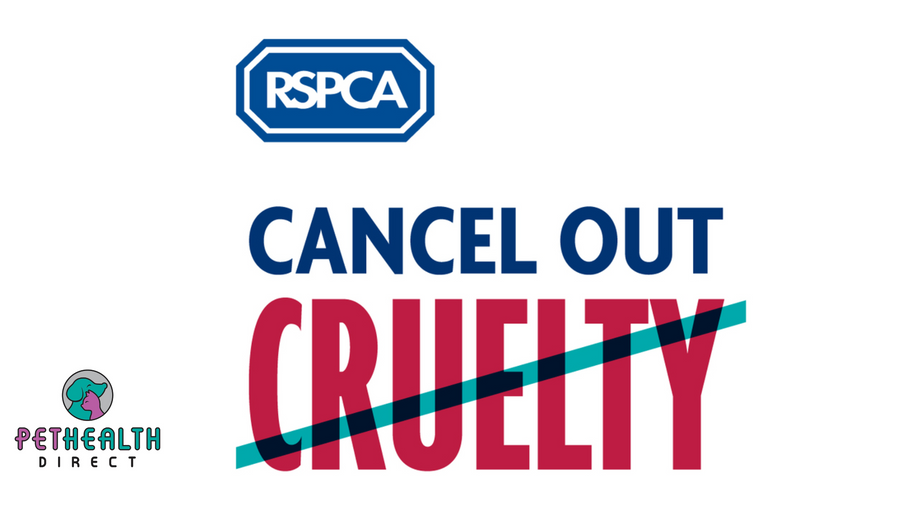 New figures reveal RSPCA sees spike in cruelty during summer months