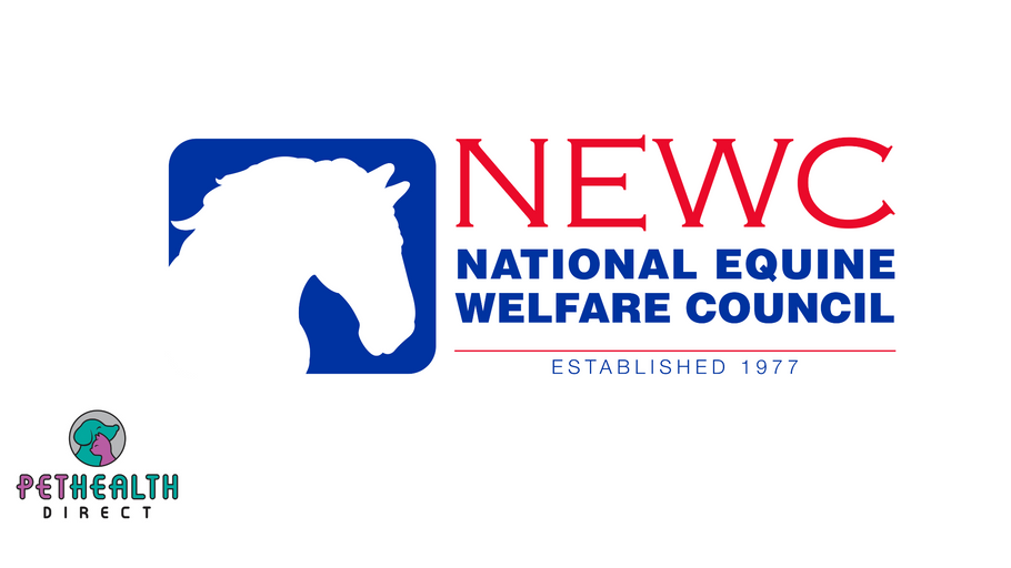 EQUINE CHARITIES WORK TOGETHER TO GAUGE EFFECT OF COST-OF-LIVING CRISIS