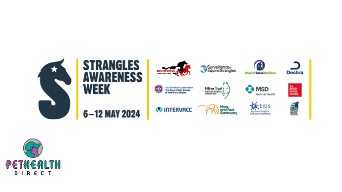 CELEBRITY SUPPORT AND HUGE PRIZE DRAW ANNOUNCED FOR STRANGLES AWARENESS WEEK 2024