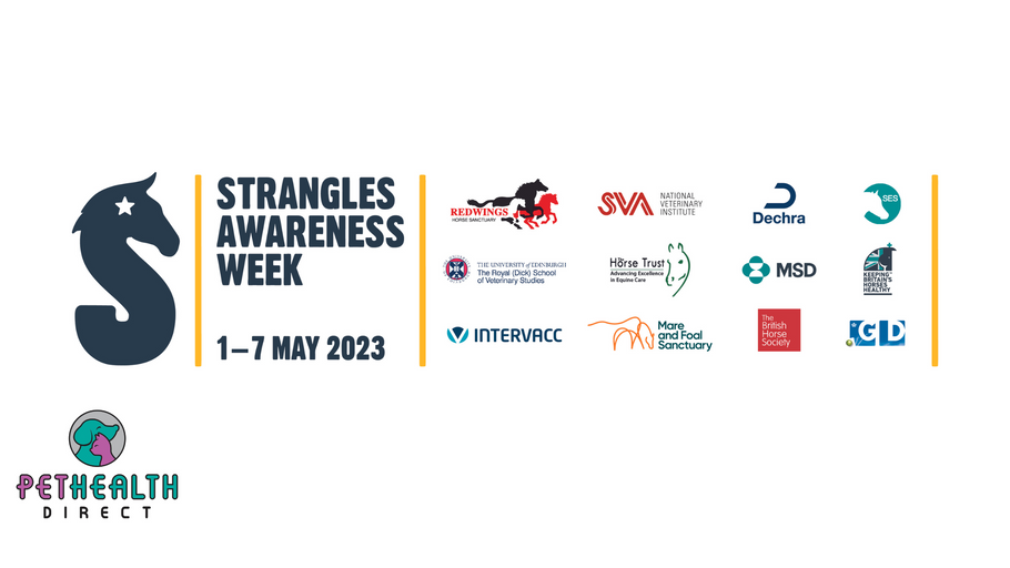 GET YOUR FREE PACK NOW: YARDS ENCOURAGED TO TAKE UP ‘TEMP CHECK CHALLENGE’ THIS STRANGLES AWARENESS WEEK
