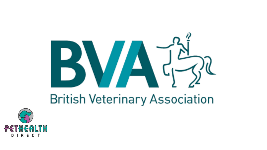 Vets call for stricter pet import measures and vigilance after first confirmed dog-to-human case of Brucella canis in the UK