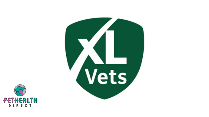 British Veterinary Association issues statement in response to veterinary abuse by XL Bully campaign groups
