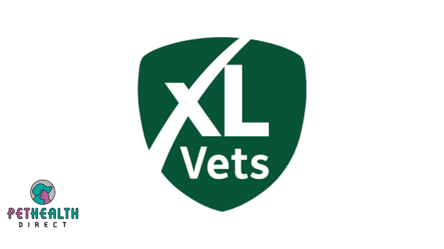 XL Bully ban: RCVS statement in response to abuse of vet teams