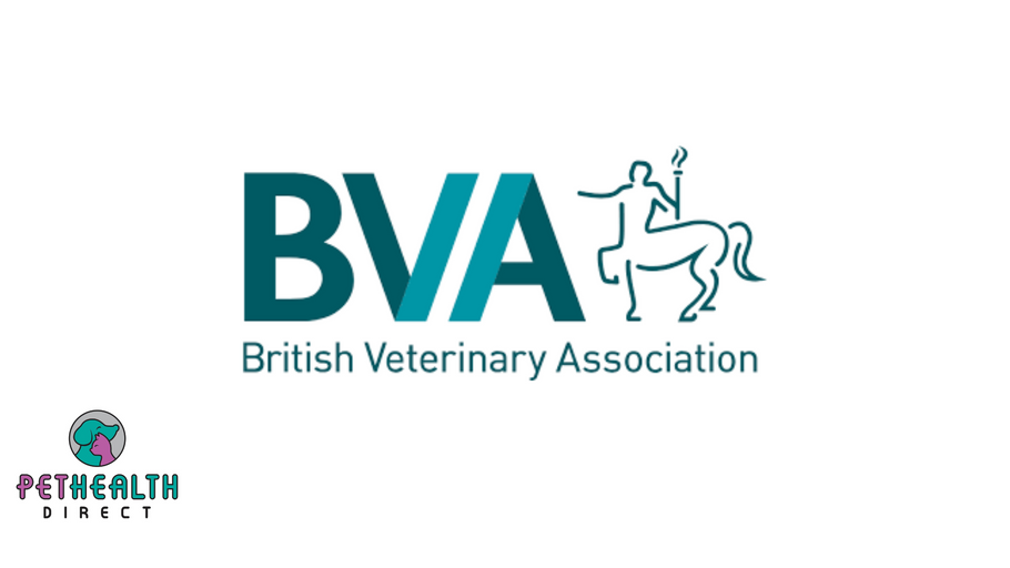 Vets call on Government to license unregulated dog fertility clinics to help clamp down on irresponsible breeding