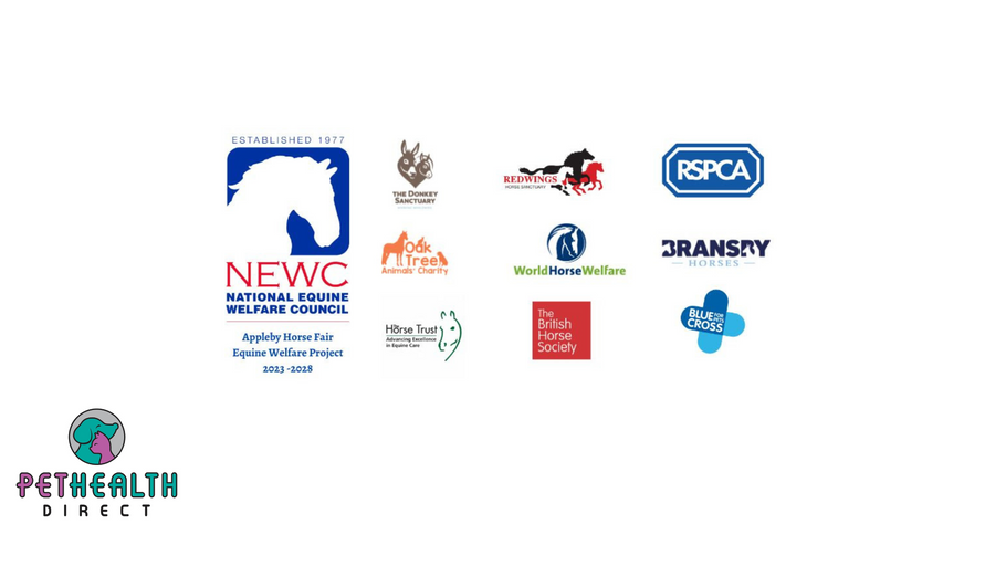 EXTRA PRECAUTIONS ADVISED AS HOT WEATHER FORECAST FOR HORSE FAIR