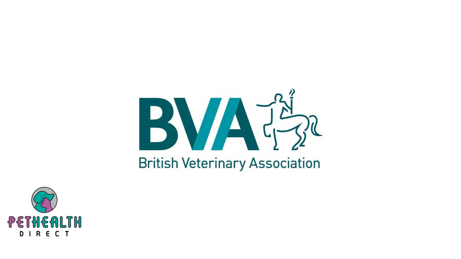 Vets welcome commitment from leading UK online marketplaces to new pet advertising standards