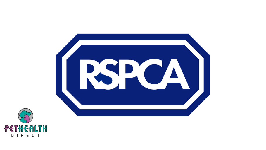 Cat on a hot tiled roof! Stranded feline rescued by RSPCA and firefighters