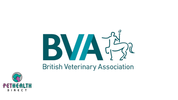 Avoid emergency vet visits this Easter by keeping ‘toxic’ traditional treats away from pets