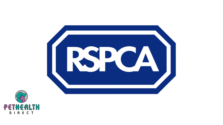 Appeal after two dead kittens found with horrific injuries on country lane