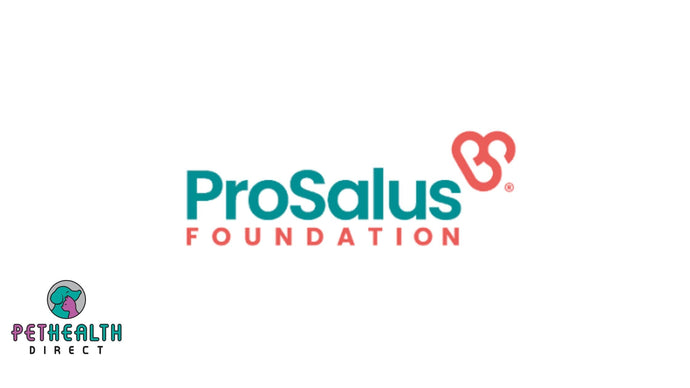ProSalus Foundation Launches a “Silent Auction” of more than 20 pieces oforiginal art by Anna Khomchyk to support Ukrainian vets