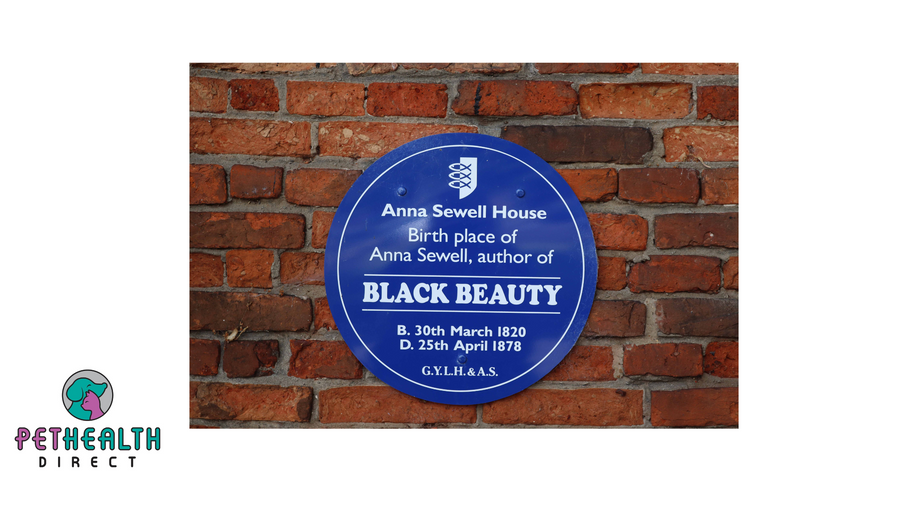 DEADLINE ENDS THIS WEEK  FOR BLACK BEAUTY INSPIRED COMPETITION
