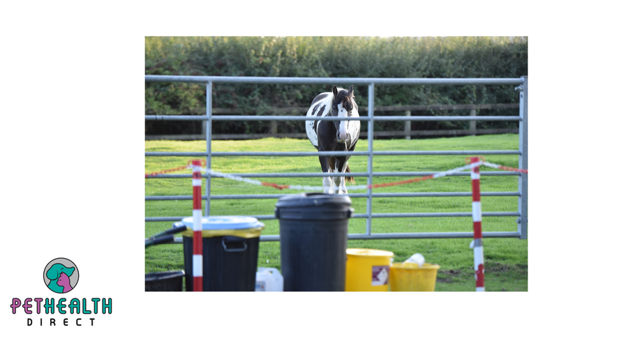 QUARANTINE IN PLACE AT REDWINGS HAPTON SITE