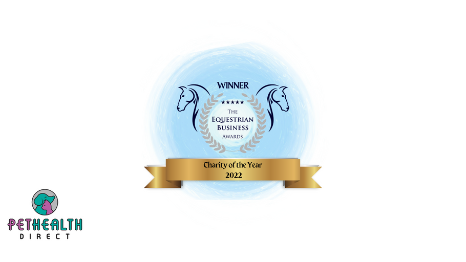 CELEBRATIONS AS REDWINGS WINS CHARITY OF THE YEAR AWARD