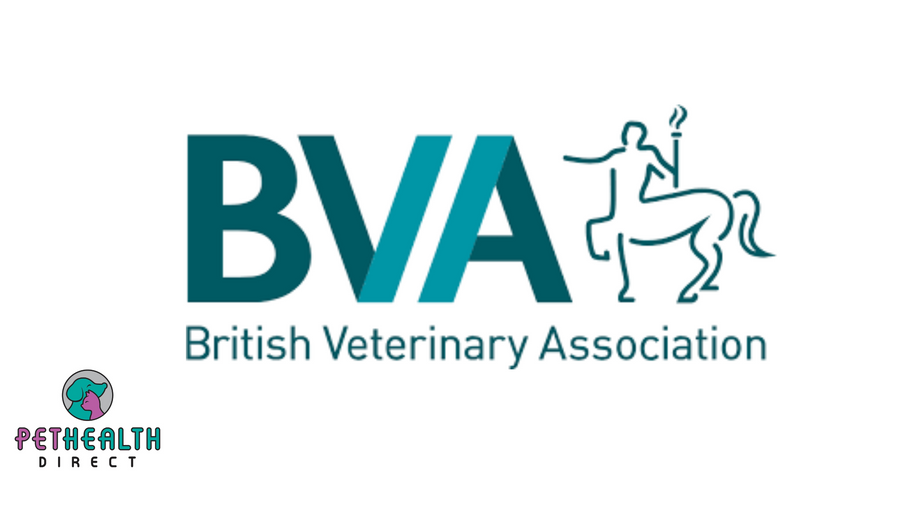 BVA presses Government to deliver on commitment to ban cruel shock collars without delay