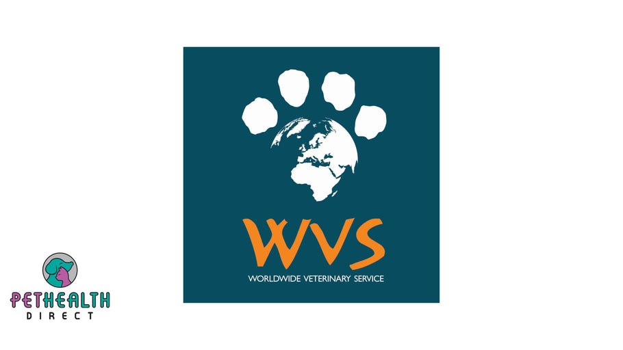 UK veterinary charity delivers rabies prevention lessons to over 10 million people