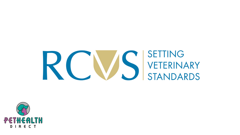 RCVS calls on professions to support recruitment of animal owners and keepers for new Public Advisory Group
