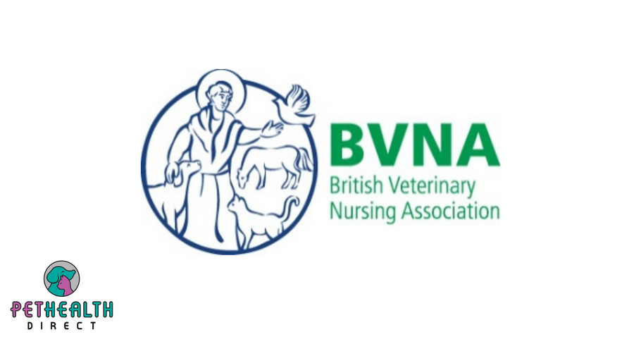 British Veterinary Nursing Association reminds owners to be alert to hidden festive dangers at Christmas