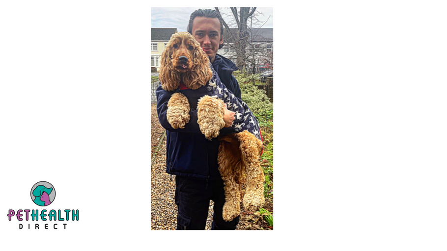 Animal lover praises apprenticeship for kick-starting his career and introducing him to his much-loved dog