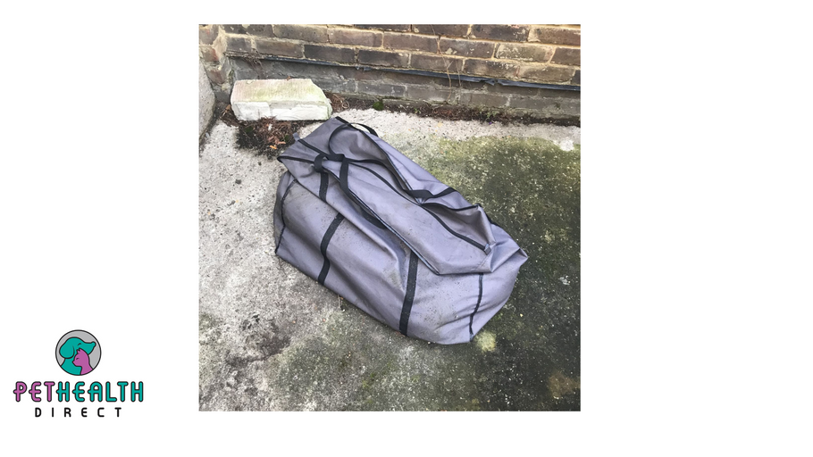 RSPCA appeals for information after body of dog is found dumped in sports bag