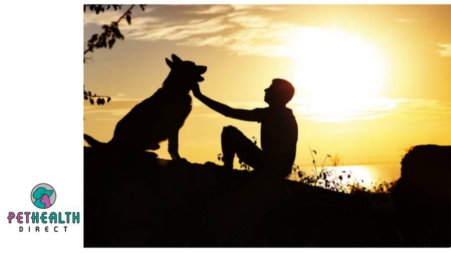 EXCLUSIVE: Here’s how pets help you achieve better mental health
