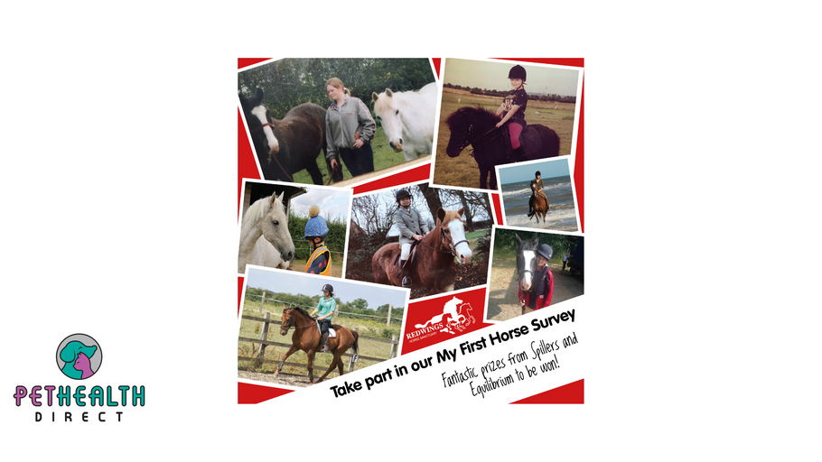 REDWINGS ASKS ‘DO YOU REMEMBER YOUR FIRST HORSE?’ IN NEW SURVEY