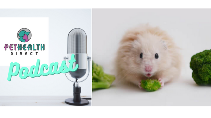 Feeding your hamster a healthy diet