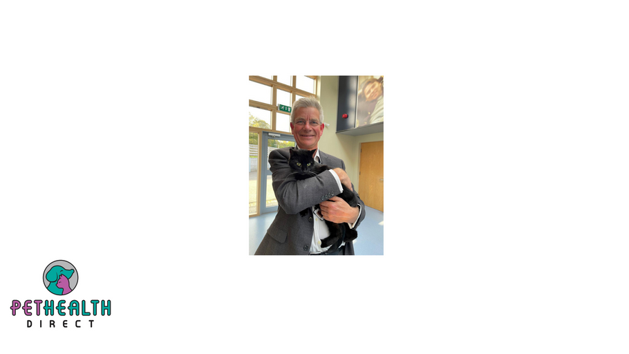 Leading animal charity appoints new interim head