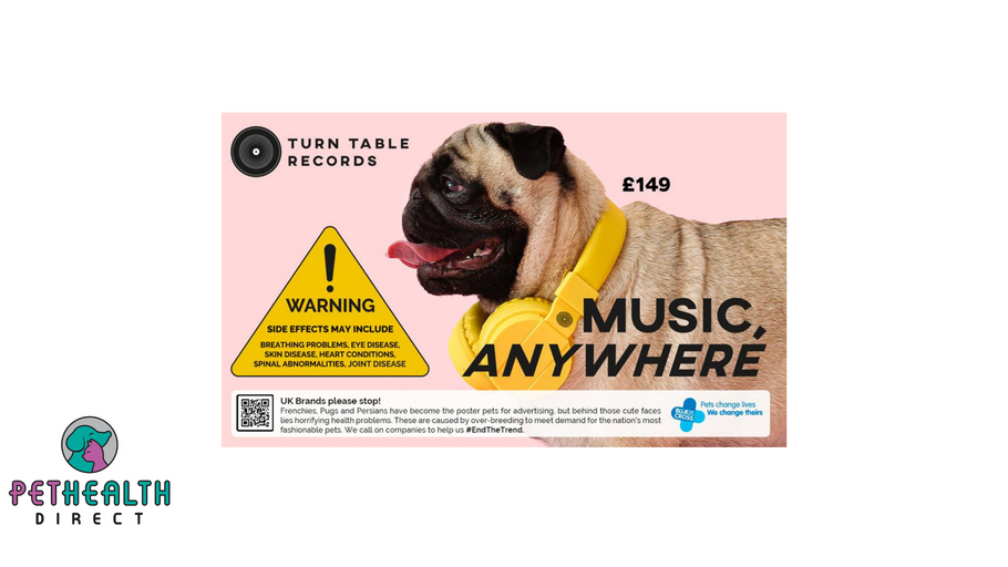 #ENDTHETREND: BLUE CROSS CALL ON BRITISH BRANDS TO STOP USING FLAT-FLACED PETS IN THEIR ADVERTISEMENTS