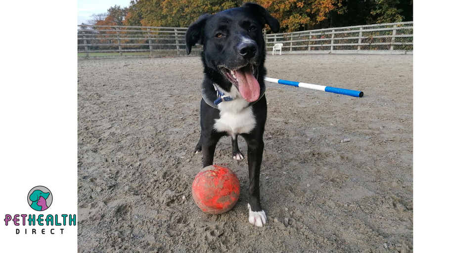 Inspired by England’s victory Sam bounces back from broken leg to play football again!