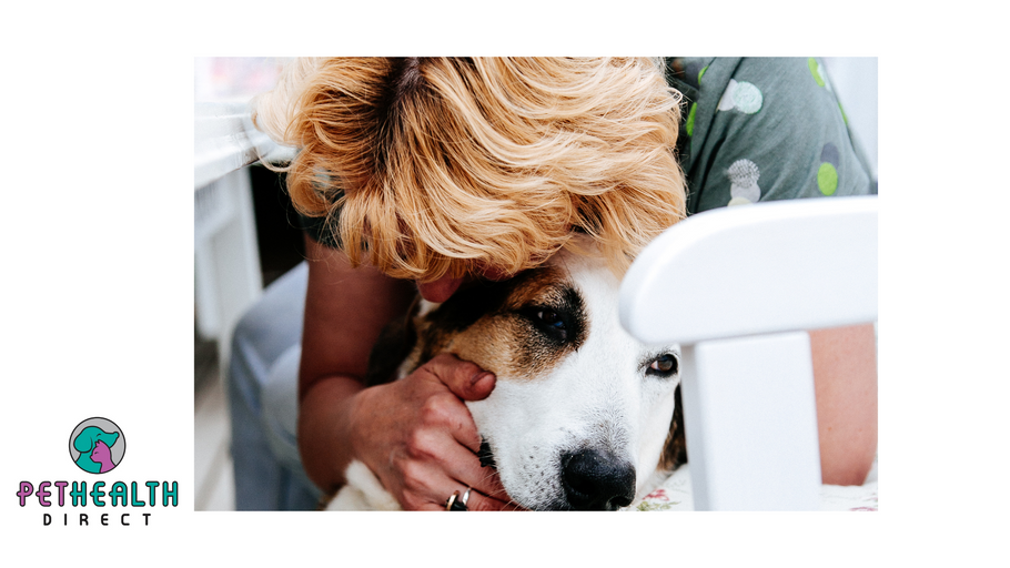 Study finds first scientific evidence that emotional support animals benefit those with chronic mental illness