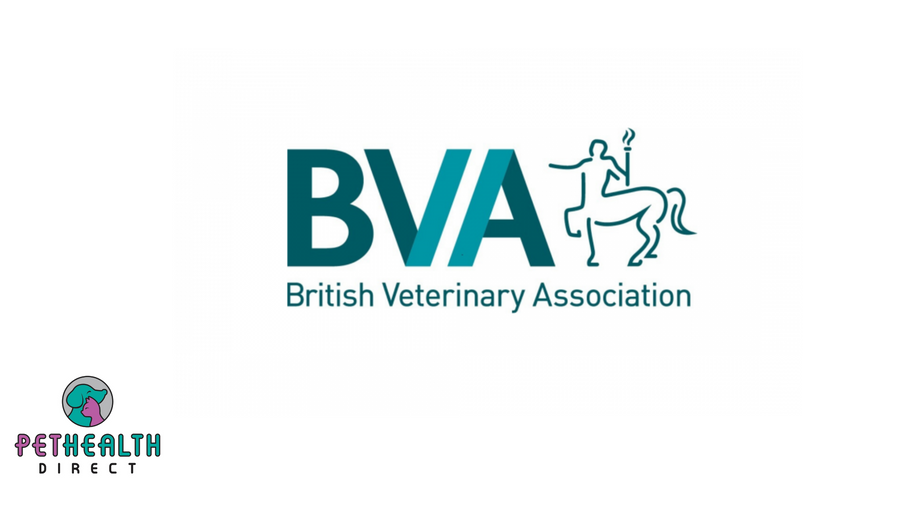 BVA News: ‘Keep dogs on a lead around rivers and ponds’- Vets issue seasonal warning about deadly blue-green algae risks