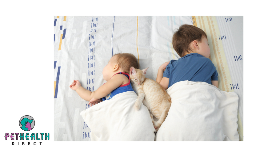 Let sleeping dogs lie...with your children! Kids get better quality shut-eye when they sleep next to their pets, study suggests