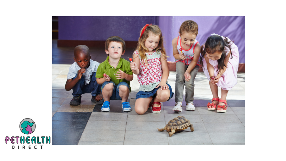 Pets play important role in easing children's loneliness and stress intensified by virtual schooling in lockdown