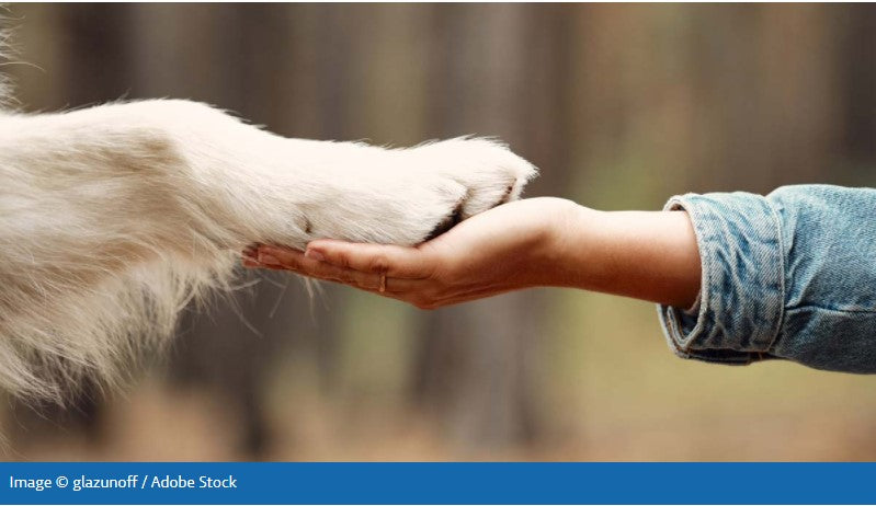 Owning an animal during lockdown has helped the mental health of all pet owners – not just the owners of cats and dogs.