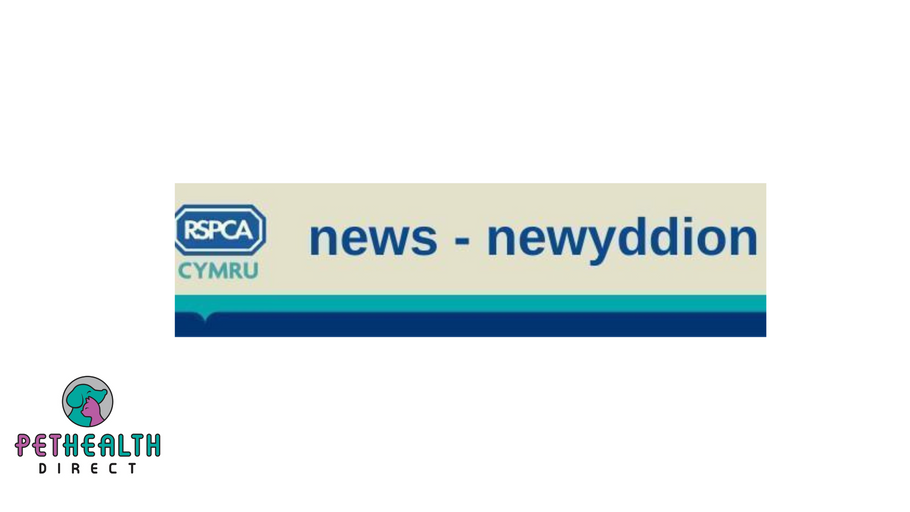 RSPCA campaign win as 'dogs die in hot cars' message to return to Wales' roads