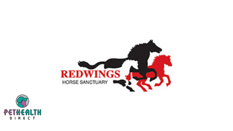 Redwings’ supporters become first to do London Marathon for horse charity