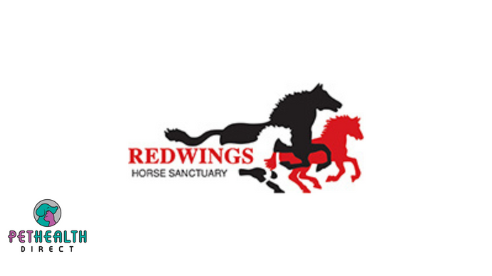 Redwings gives forever home to horse who needed extra support in old age