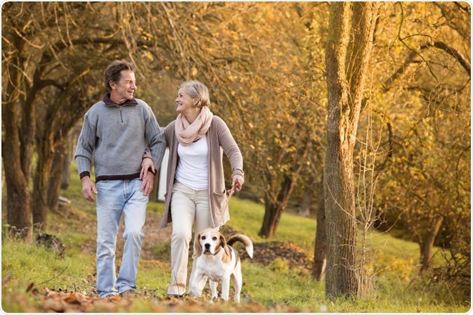 The Benefits of Dog Walking in Older Adults and some risks to be aware of