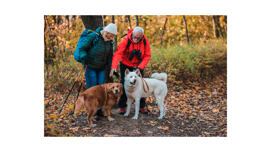 Pets may help boost health of older people