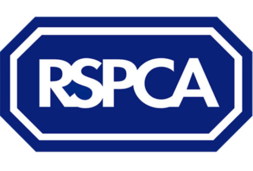 RSPCA braced for huge influx of summer calls as it enters it’s busiest season