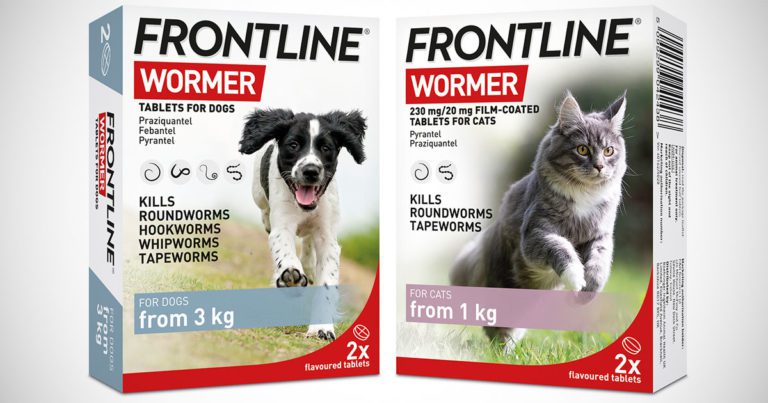 Cat wormer Pet Health Direct