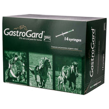 Load image into Gallery viewer, GastroGard for Horses
